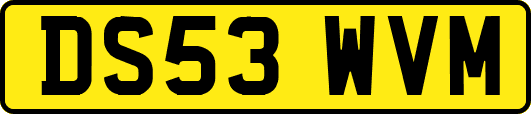 DS53WVM