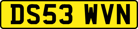 DS53WVN