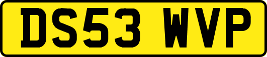 DS53WVP
