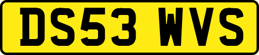 DS53WVS