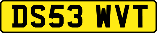DS53WVT