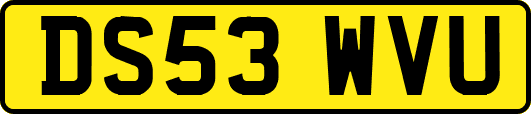 DS53WVU