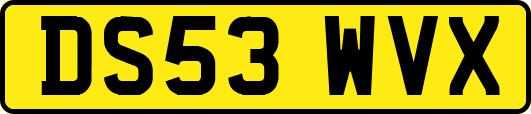 DS53WVX