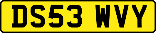 DS53WVY