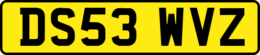 DS53WVZ