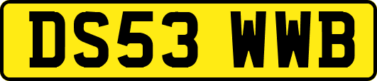 DS53WWB