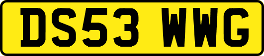 DS53WWG