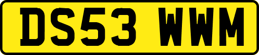 DS53WWM