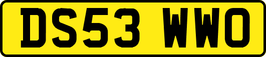 DS53WWO