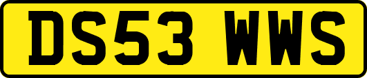 DS53WWS