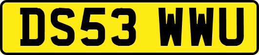 DS53WWU