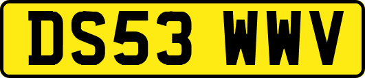 DS53WWV