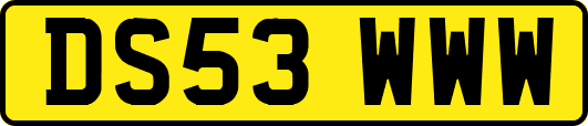 DS53WWW