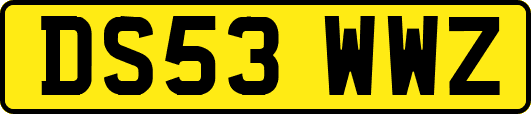 DS53WWZ