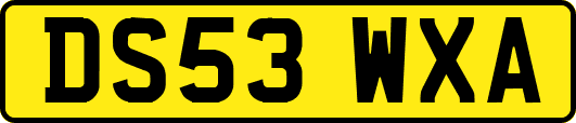 DS53WXA