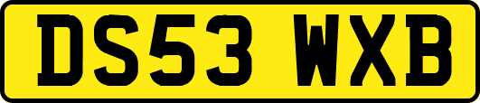 DS53WXB