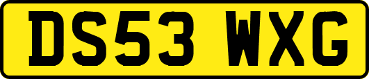 DS53WXG