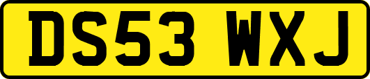 DS53WXJ