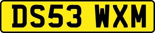 DS53WXM