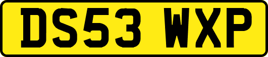 DS53WXP