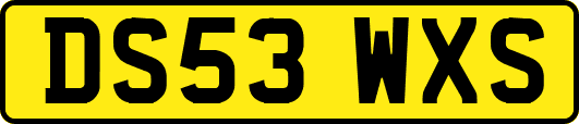 DS53WXS