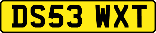 DS53WXT