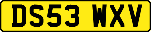 DS53WXV