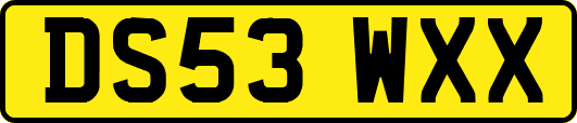 DS53WXX