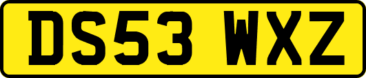 DS53WXZ