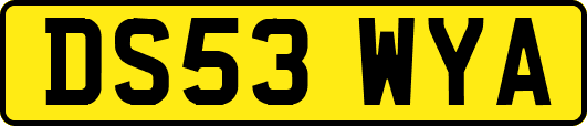 DS53WYA