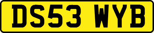 DS53WYB