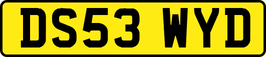 DS53WYD