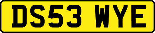 DS53WYE