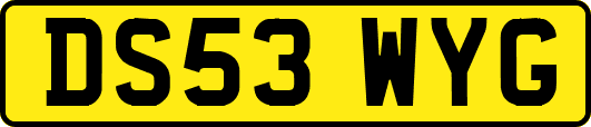DS53WYG