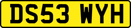 DS53WYH