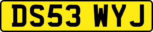 DS53WYJ