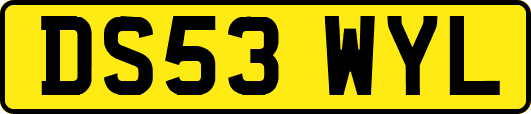 DS53WYL