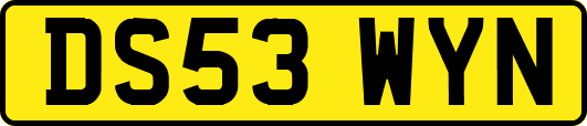 DS53WYN