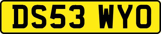 DS53WYO