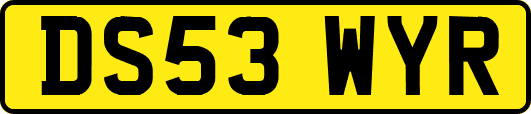 DS53WYR