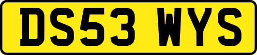 DS53WYS