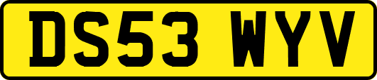 DS53WYV
