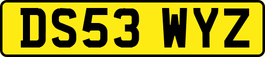 DS53WYZ