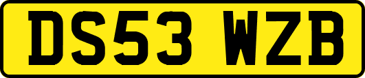 DS53WZB