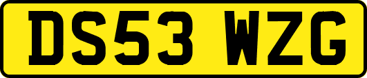 DS53WZG