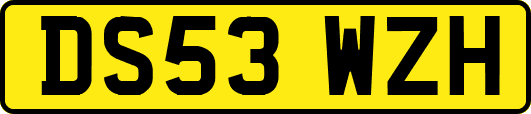 DS53WZH