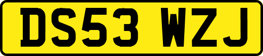 DS53WZJ