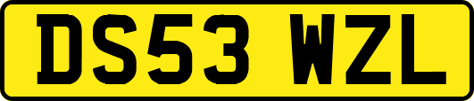 DS53WZL