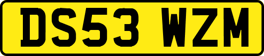 DS53WZM