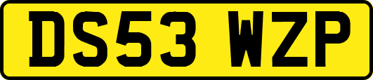 DS53WZP